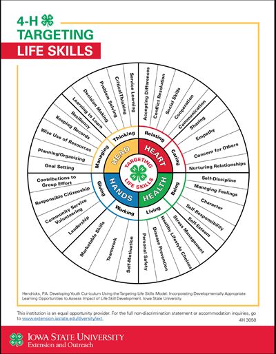 Life Skills Model