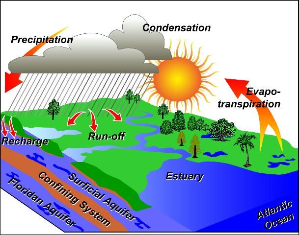 Figure 2. Hydrologic cycle in a watershed.