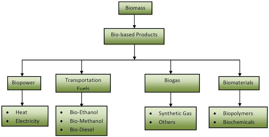 Figure 1. Classification of bio-based products from biomass.
