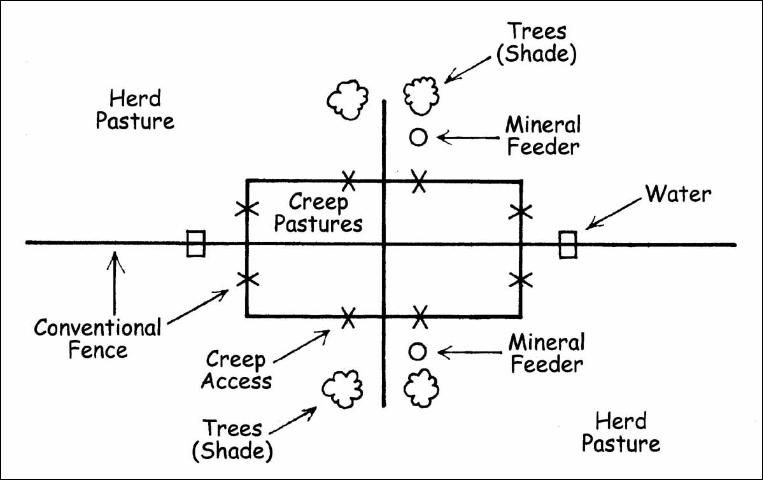 Figure 1. Layout of a creep grazing management system.