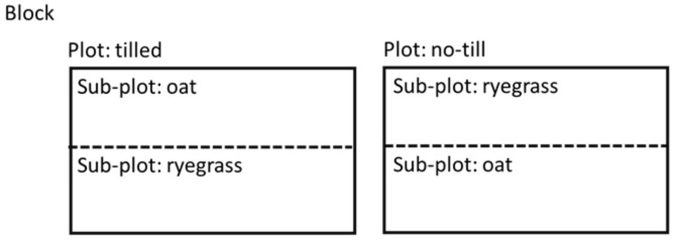 Figure 2. Example of a split-plot arrangement where the whole plot is land preparation (tilled ground vs. no-till) and the subplot is cool-season forage species (oat or ryegrass).