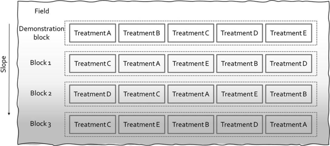 Figure 1. Example of a trial with five treatments and four blocks: one demonstration-only block and three for data collection. All blocks are distributed at the same level in the slope to reduce confounding effects of the slope on the treatments.