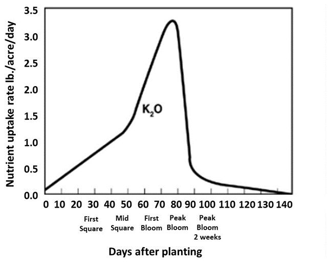 General K uptake curve as pounds of K uptake graphed by days after planting. 