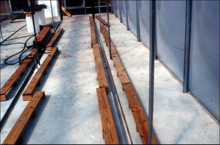 Drainage troughs created by pouring concrete floor around wooden forms and then removing forms, leaving behind troughs. Wooden benches also shown in photo.