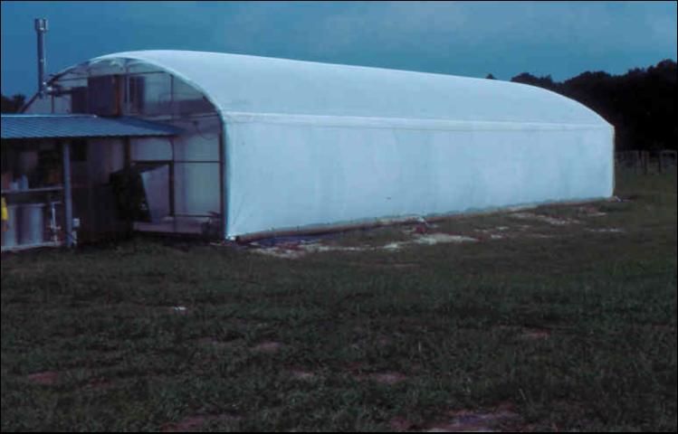Small single-unit greenhouse.