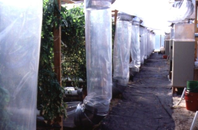 Figure 29. Distributing heated air on the floor helps warm the root zone and reduces condensation on the leaves and fruits.