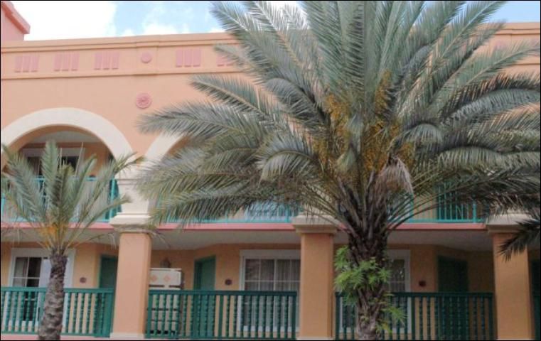 Figure 9. The palm on the left was planted too deeply. At the time of planting, these two palms were similar in size.