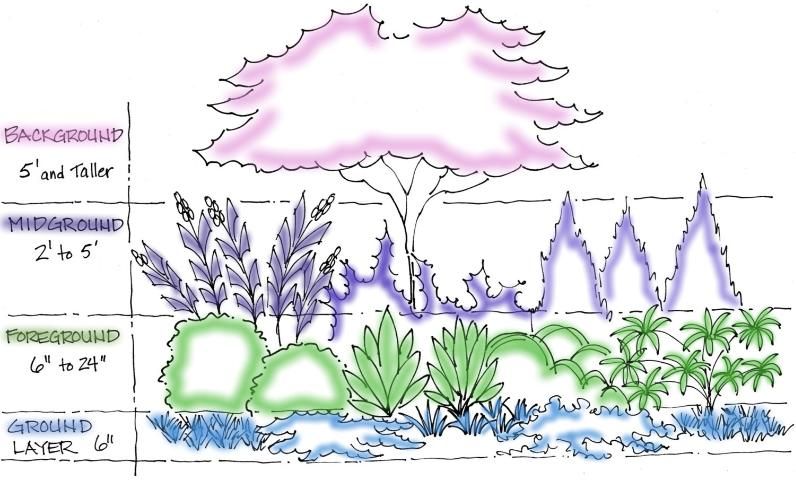Figure 1. Plant layers in staggered heights, with low plants in front and taller plants in back.