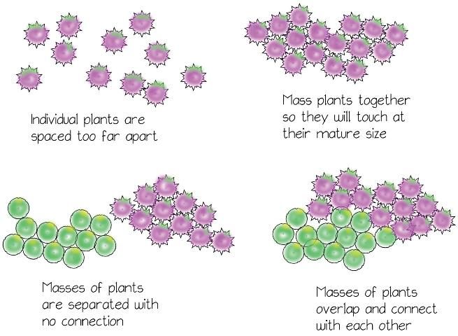 Figure 3. Cluster individual plants; mass clusters of plants to fill beds.