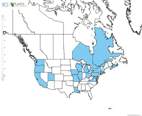 Figure 4. Production map of snapdragons in the US and Canada.