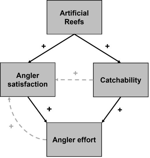 The three ways artificial reefs can affect fishers. Solid lines describe “direct” effects, and dashed gray lines describe “indirect” effects. The plus sign means that there is a positive effect. Artificial reefs can increase catchability and satisfaction directly. It is expected that artificial reefs will initially increase catchability and angler satisfaction, which will then affect effort. If effort increases, then anglers will likely be more satisfied with their fishing experience (indirectly). 