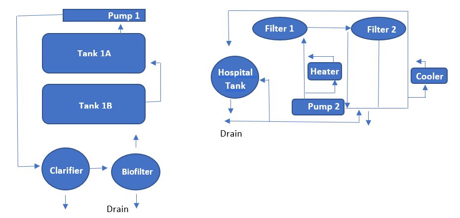 Indoor recirculating aquaculture system as described by Tinker-Kulberg et al. 2020c.