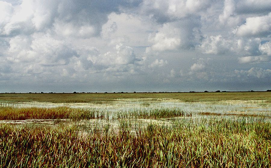 A hydrologic resoration project in Everglades National Park. 