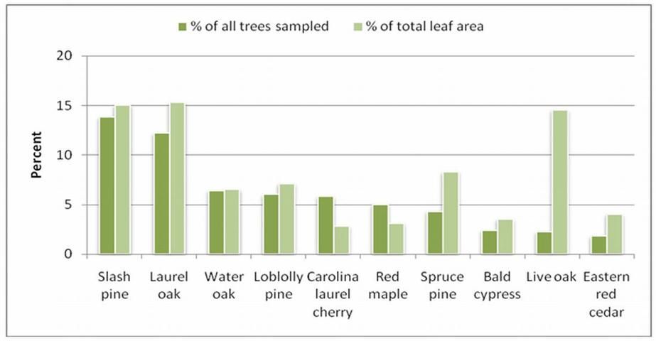 Figure 3. The top ten trees with highest total leaf area compared to their quantity in Gainesville, Florida's urban forest.