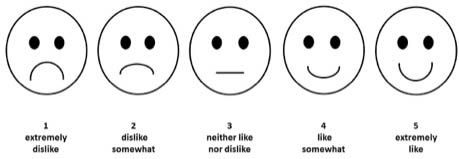 Figure 1. Rating scale with five distinct degrees of satisfaction illustrated by easily recognizable facial expressions ranging from classic frowny face (extremely dislike) to smiley face (extremely like).
