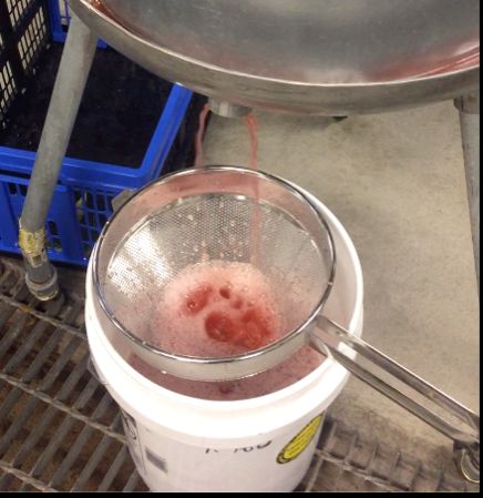 Using a colander to capture pulp and filter juice during peach pressing.