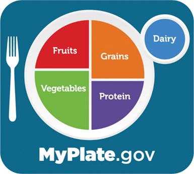 Start a healthy eating routine with MyPlate. Visit Myplate.gov for tips on shopping and preparing healthy food choices.