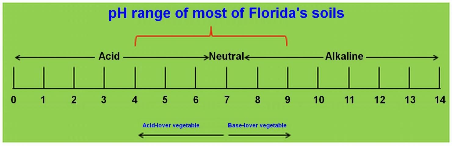 Figure 1. The pH scale and vegetable categories. The pH is measured on a logarithm scale from 0 to 14.