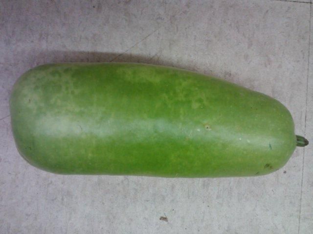 Figure 2. Fruit of long squash.