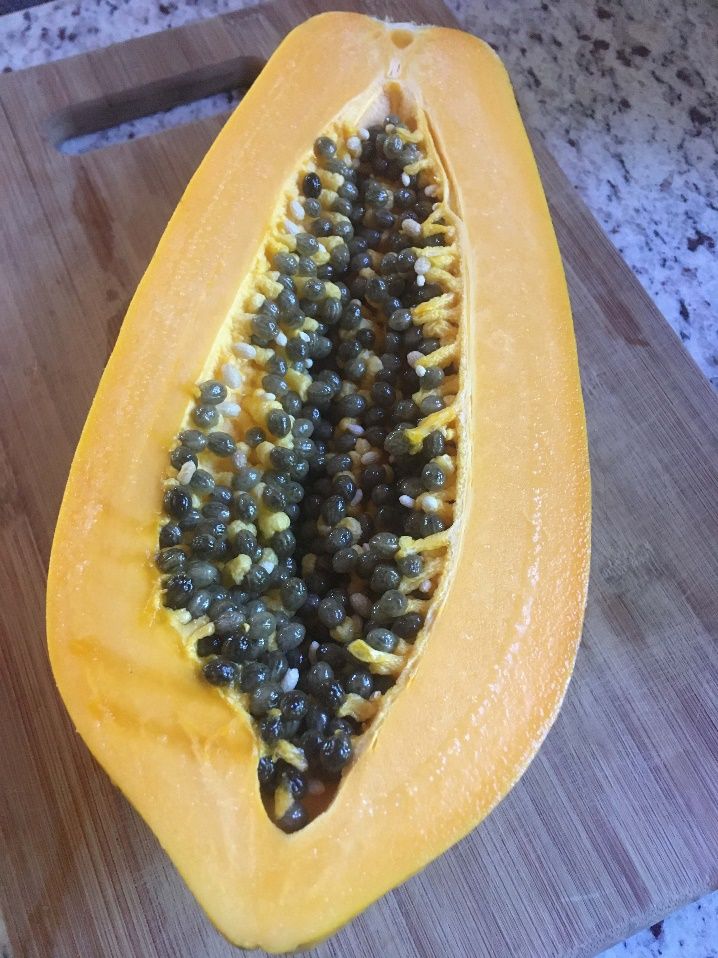 Papaya seeds can be scraped into a bowl of water to help clean them.