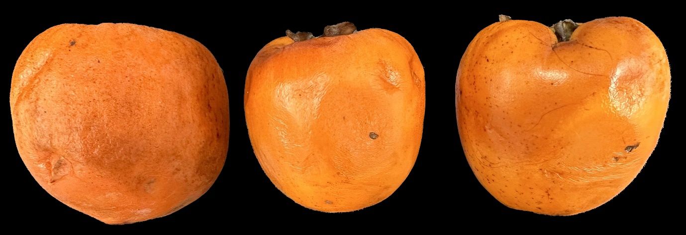 Softening and deterioration in a non-astringent type of persimmon fruit after 4 days of storage at room temperature.