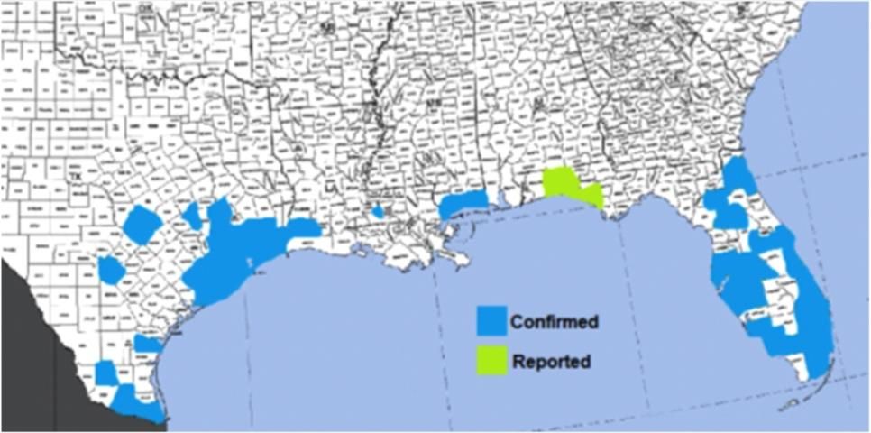 Figure 2. Confirmed and suspected counties infested with tawny crazy ants as of 2012.