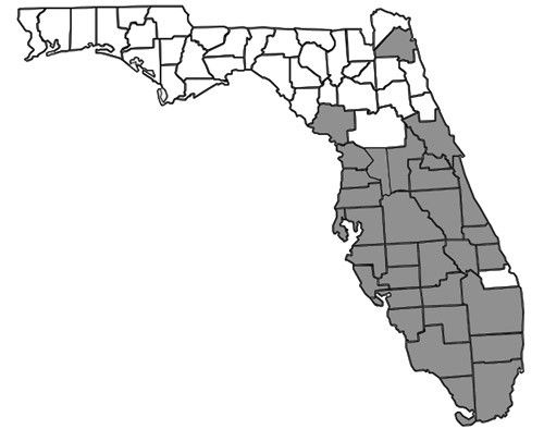 Figure 2. County distribution map of Nylanderia bourbonica (Forel) in Florida constructed using information from Deyrup (2017).