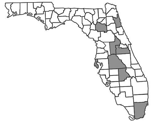 Figure 5. County distribution map of Nomada fervida Smith in Florida constructed using data from Droege et al. (2010) and specimen records from Table 1.