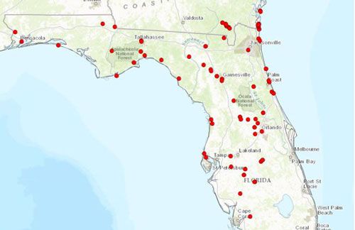 Figure 2. Localities for Kalotermes approximatus Snyder within Florida and southern Georgia. Each red dot present on the figure represents a single collection locality.