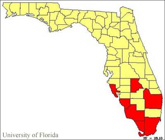 Figure 2. County records of Pseudosphinx tetrio (Linnaeus) in Florida.