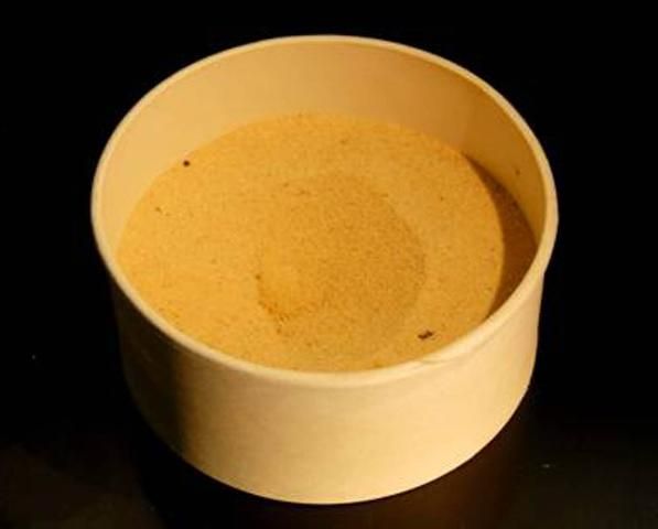 Figure 4. Paper cup filled with sand in which an antlion larva has made its pit-trap.