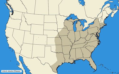 Figure 2. State level distribution of Acharia stimulea (Clemens) in United States.