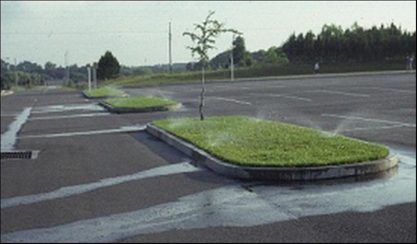 Figure 2. Make sure that irrigation systems are applying water to grass, not pavement.