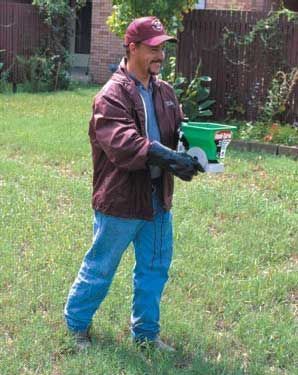 Man applying fire ant broadcast bait treatment to lawn using hand-held spreader.