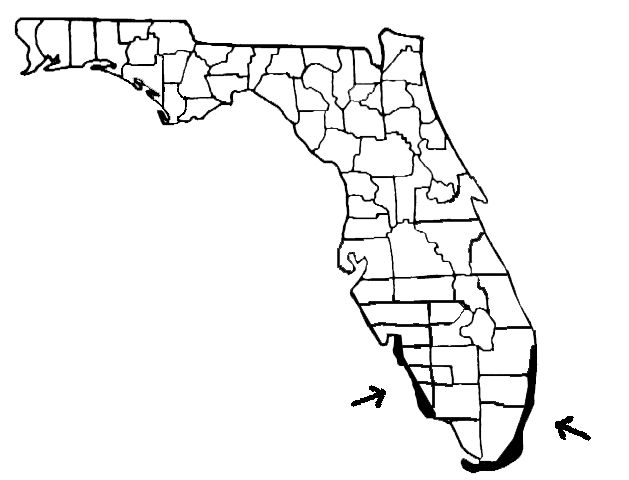 Figure 7. Florida map with dark areas along coast and arrows indicating where lychee may be grown.