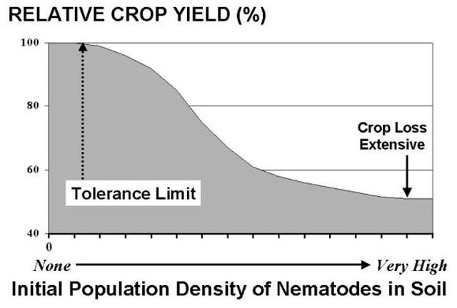 Figure 8. Typical nematode induced crop damage relationship in which crop yields, expressed as a percentage of yields that would be obtained in the absence of nematodes, decline with increased population density of nematodes in soil. The tolerance level is identified as the initial or minimal soil population density at which crop damage is first observed.