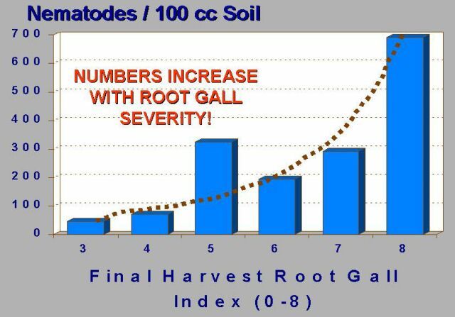 Figure 13. Generalized relationship between the number of root-knot nematode juveniles in soil based on the level and severity of plant root galling.