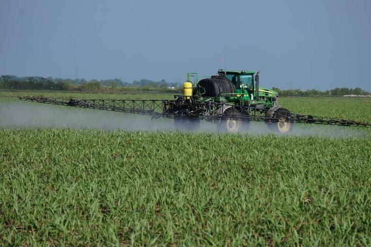 Figure 27. Chemical weed control in sugarcane near Belle Glade, FL.