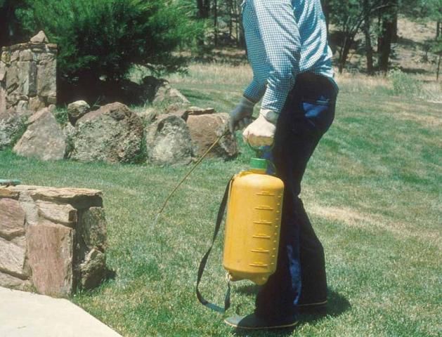 Figure 4. Un pulverizador de bomba manual se utiliza comúnmente para aplicar plaguicida diluido en agua alrededor de césped y jardín.