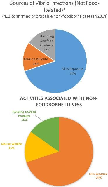 Figure 1. *Among the 402 domestically acquired vibrio infection cases not related to food that were reported to the CDC in 2014, 316 (79%) patients reported having skin exposure to a body of water within 7 days before illness began, 67 (17%) reported contact with marine wildlife, and 69 (17%) reported handling seafood.