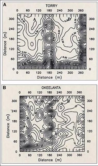 Figura 2. Mapas de contorno mostrando la variabilidad de campo de A) pH y B) concentraciones P extraído con agua (Pw) de los suelos orgánicos Torry y Okeelanta del EAA