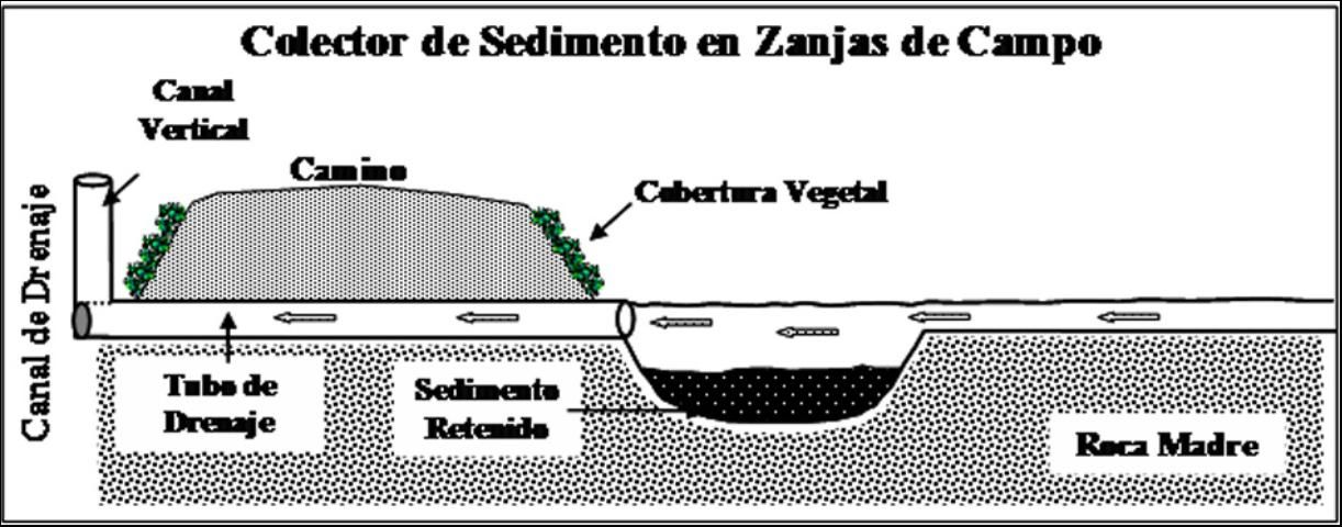 Figure 4. Diagrama esquemático de un colector de sedimentos en una zanja de campo.