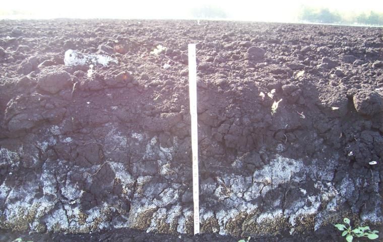 Figure 3. Presence of calcium carbonate in the form of limestone gets higher as the soils become shallow, raising the pH.
