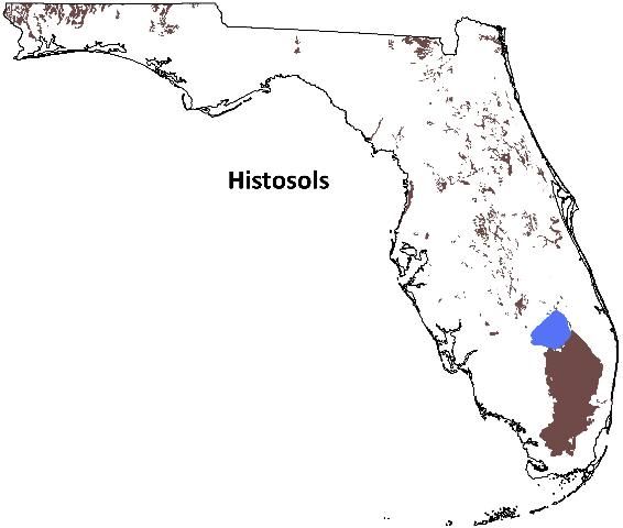Figure 5. Distribution of Histosols in Florida.