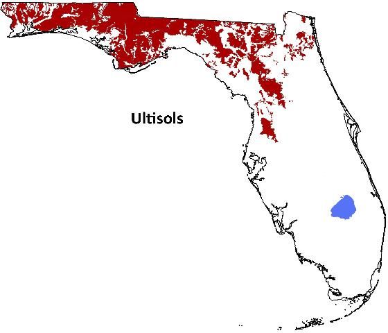 Figure 3. Distribution of Ultisols in Florida.