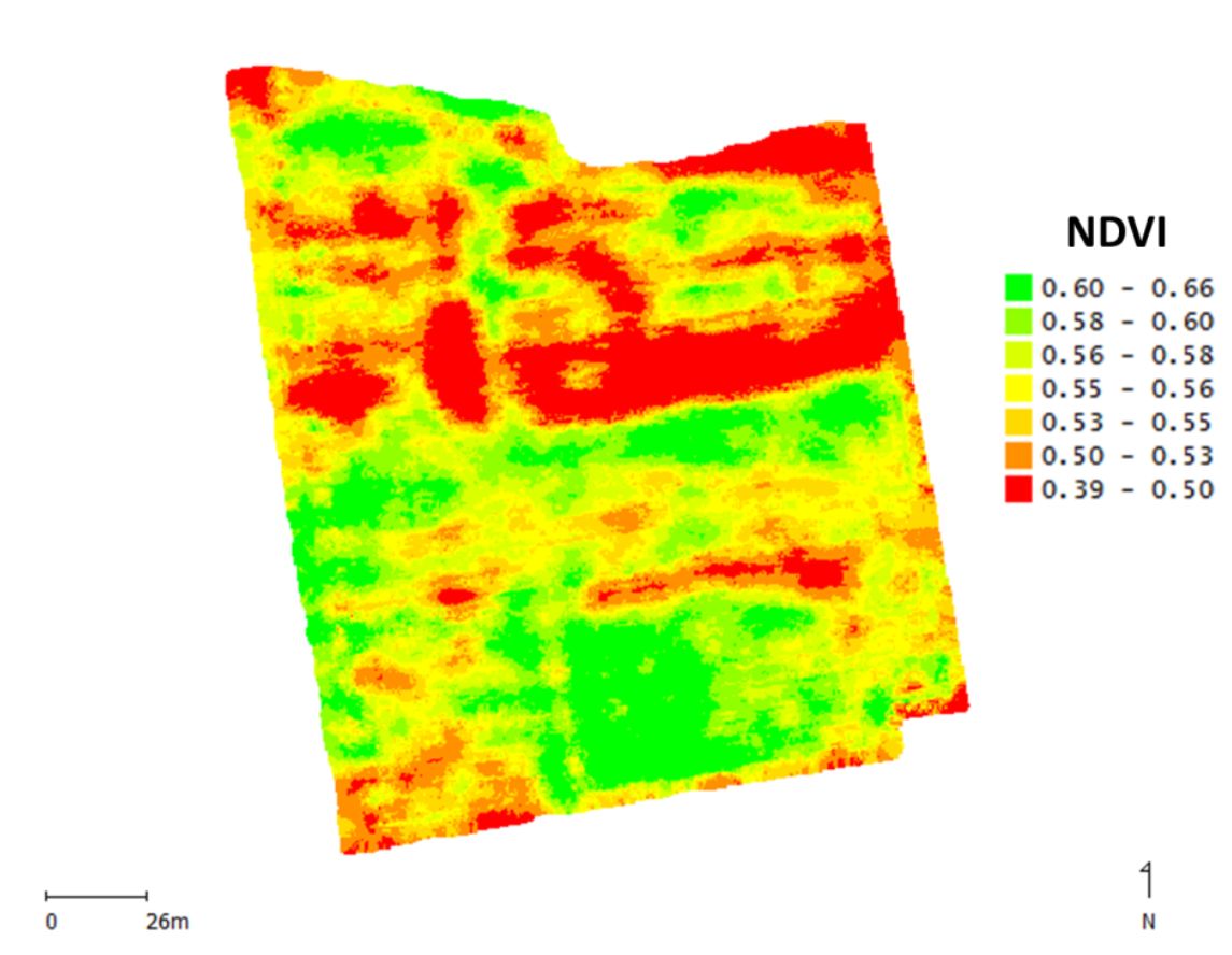 The NDVI map of 2.86 acres of corn production area at 8-leaf growth stage of corn at the ABC Foundation  field site located in southern Brazil. (The ABC Foundation is a private research institution maintained by farmers since 1984.)