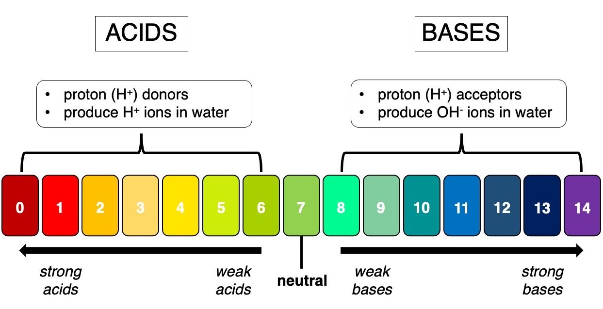 Conceptual diagram comparing the properties of acids and bases along with the pH scale.