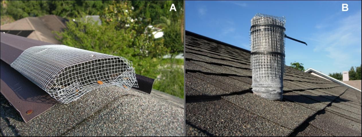 Figure 5. Roof vents (A) and plumbing vent stacks (B) often have large openings that can allow climbing snakes (such as rat snakes) to enter the home or garage. These large openings can be easily covered with hardware cloth, as shown here.