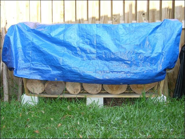 Figure 1. Firewood should be stacked neatly on a rack. Wood piles on the ground provide many hiding spots for snakes.