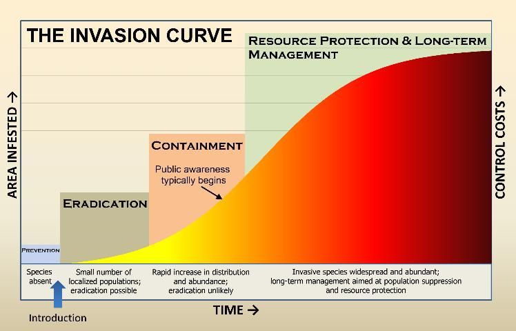 Figure 1. The invasion curve.